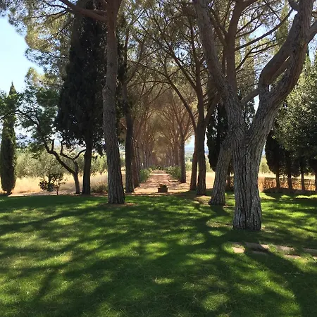 Pelagone Villa Gavorrano
