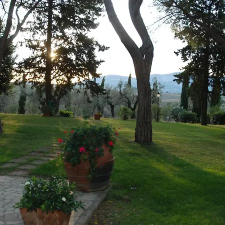 Pelagone * Gavorrano